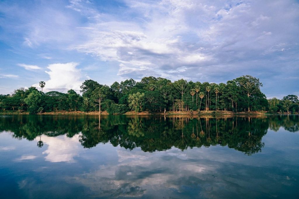 Water Reflection